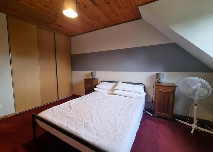 Firs Lake Loiron-Ruille